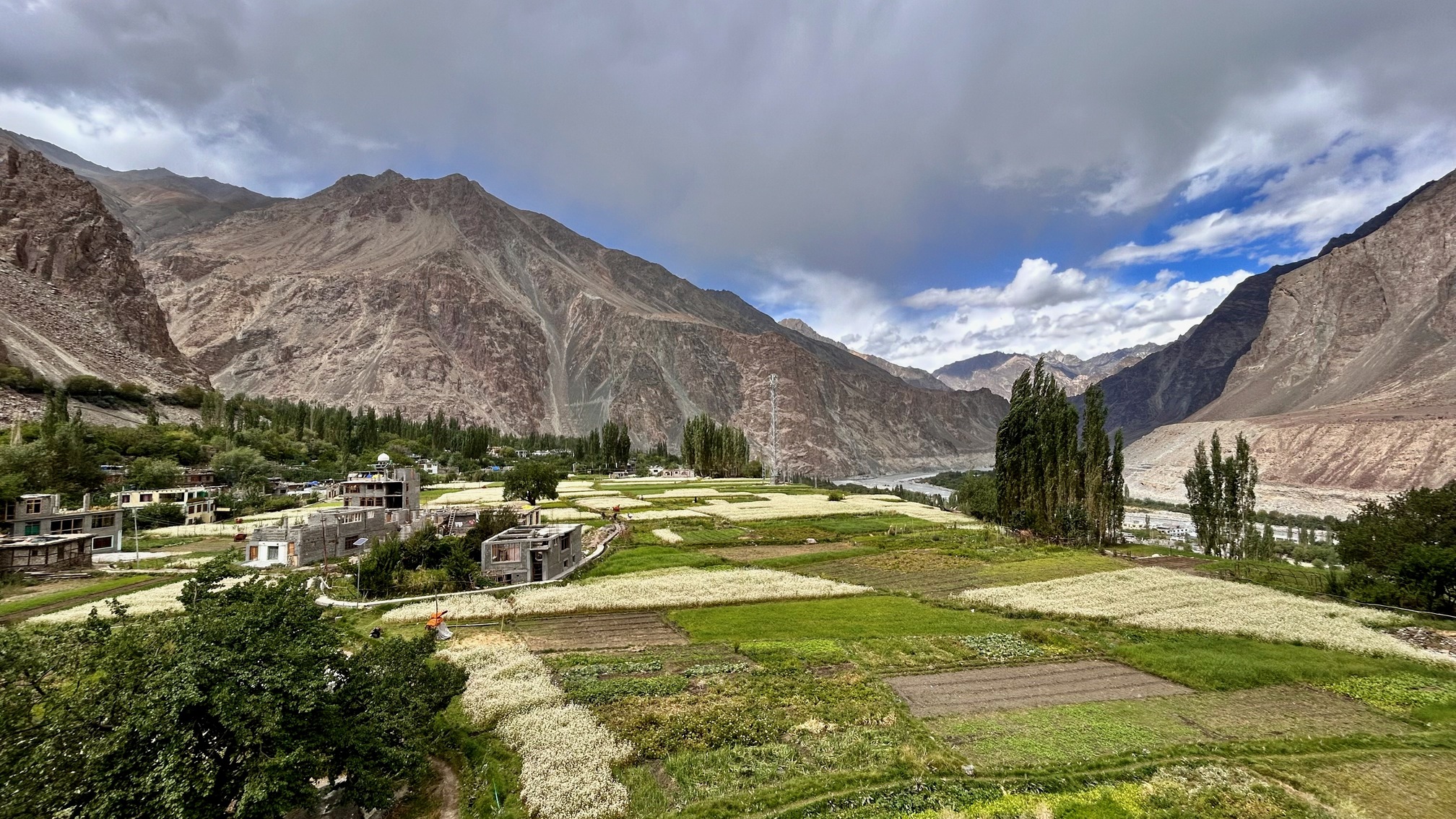 Landsbyen Turtuk ligger som en oase midt i de tørre landskaber. Foto Ashfaq Rah
