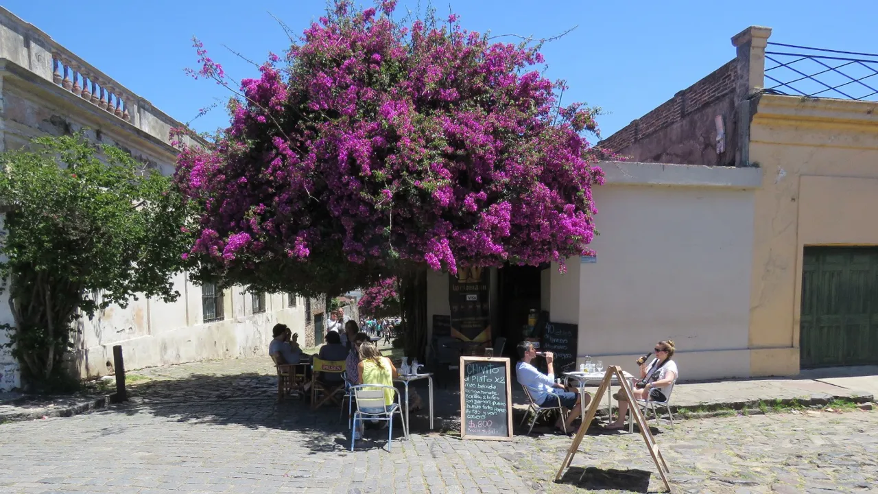 Skygge og en kold forfriskning - så kan vi lidt igen. Foto Kirsten Gynther Holm