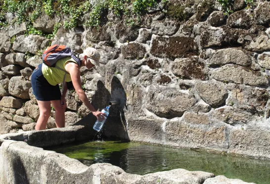Det er vigtigt med vandpauser i varmen. Foto Viktors Farmor