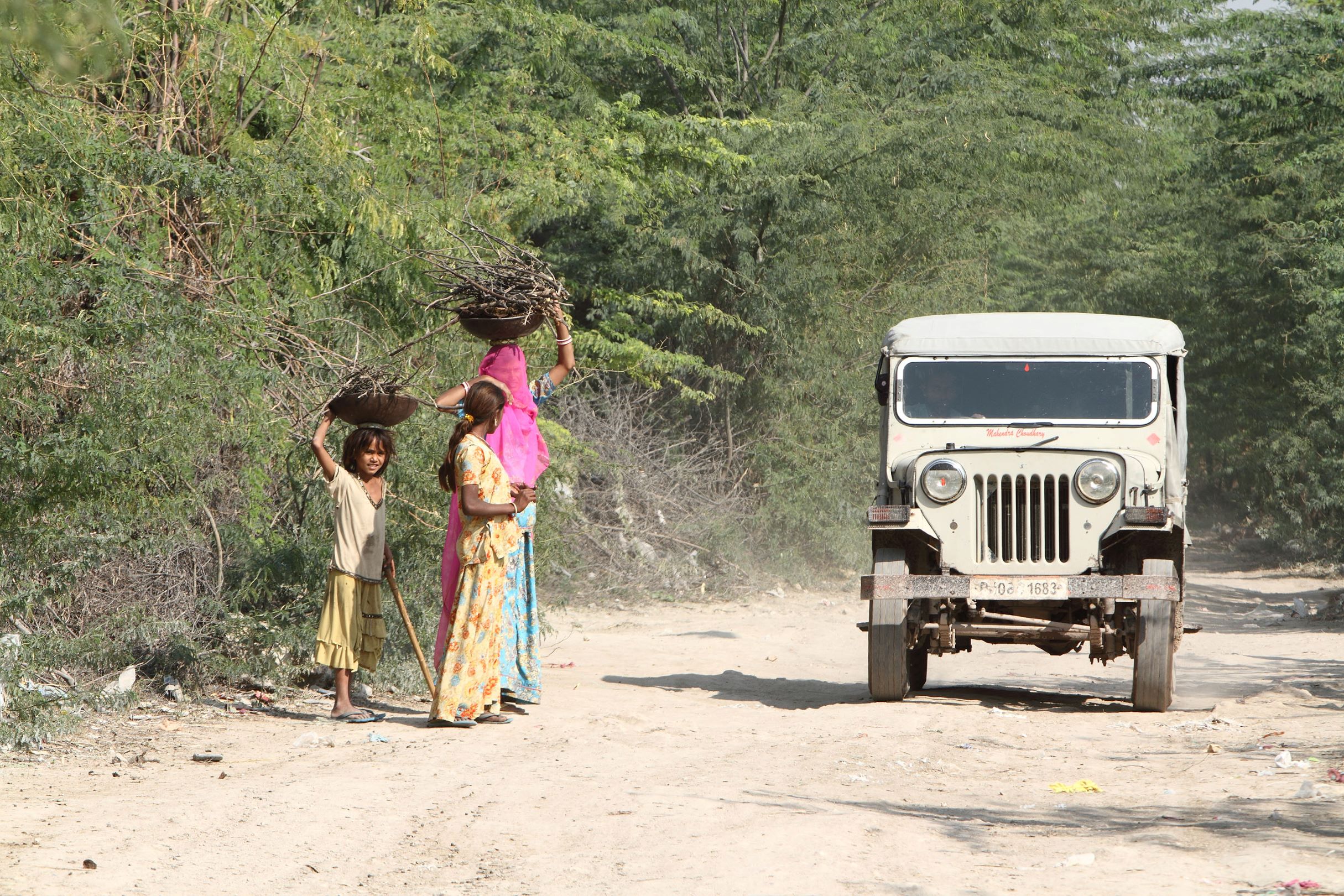 3 vi oplever livet på landet i Rajasthan. Foto af Anders Stoustrup