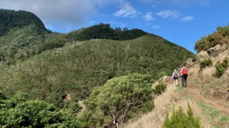 Sti over højderyggen mod nordkysten. Foto Anders Stoustrup