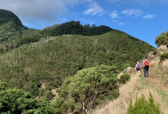 Sti over højderyggen mod nordkysten. Foto Anders Stoustrup