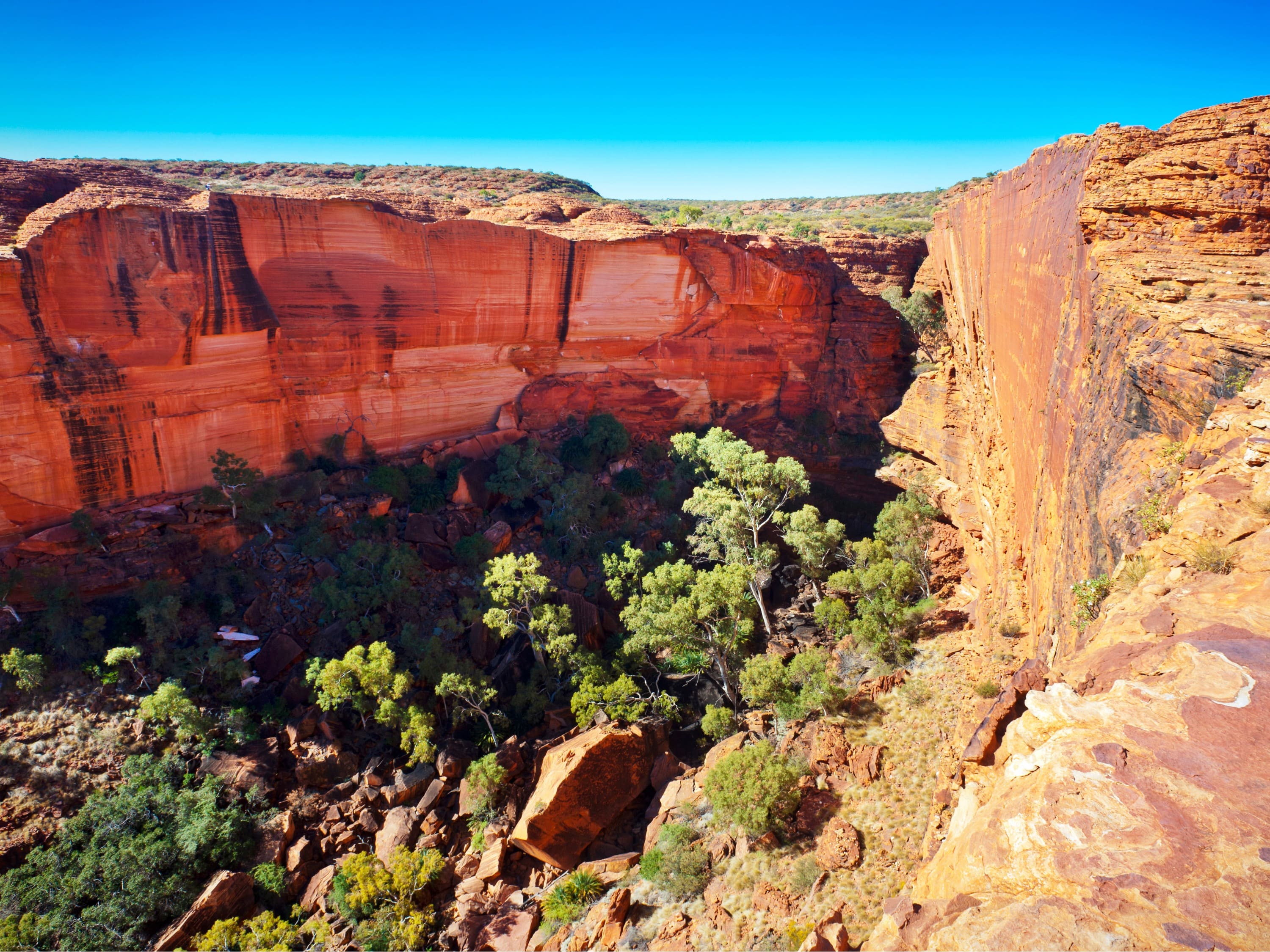 Kings Canyon indrammes på dramatisk vis af 300 meter høje klippemure. Foto Viktors Farmor