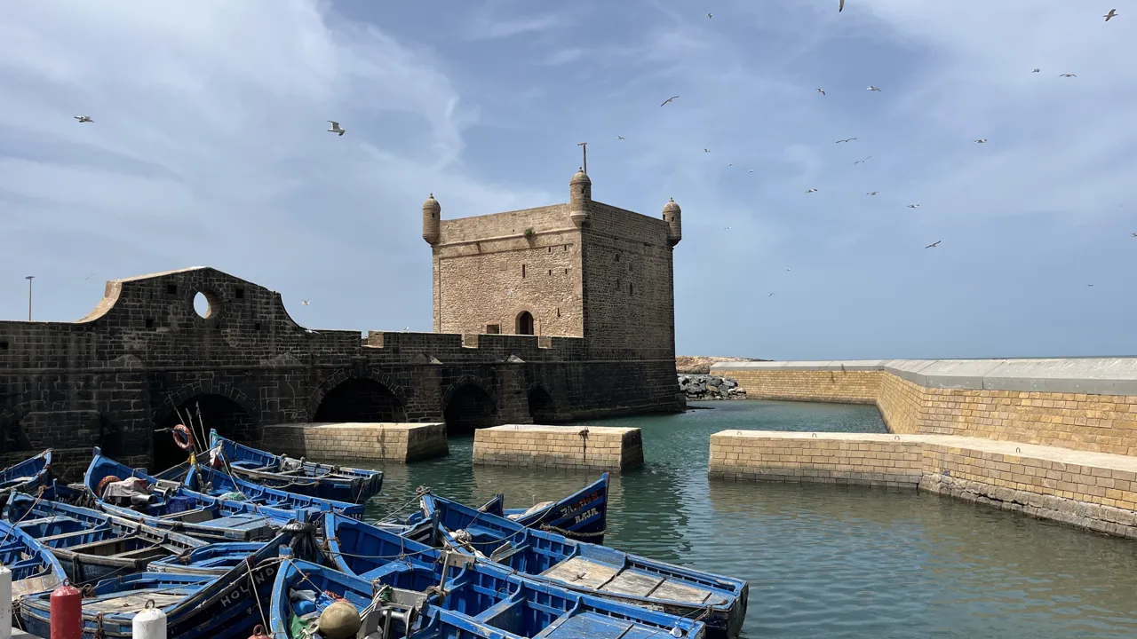 De karismatiske blå fiskebåde i Essaouira er et af kendetegnene ved byen. Foto Josefine Aude Raas