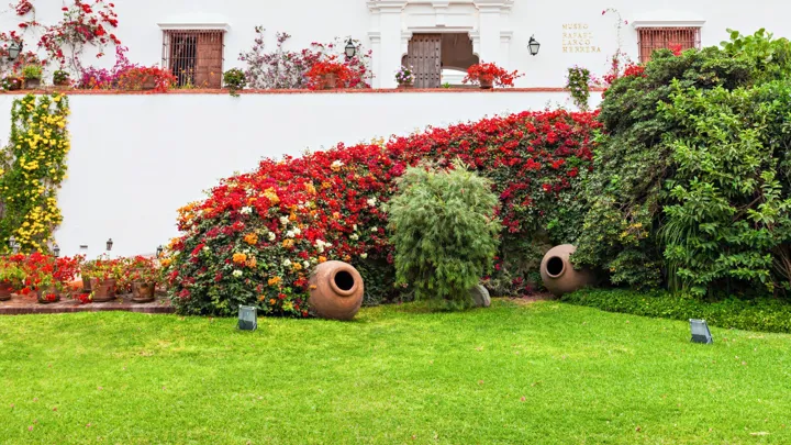 Larco Museet har måske Perus største og flotteste kunstsamling. Foto Viktors Farmor