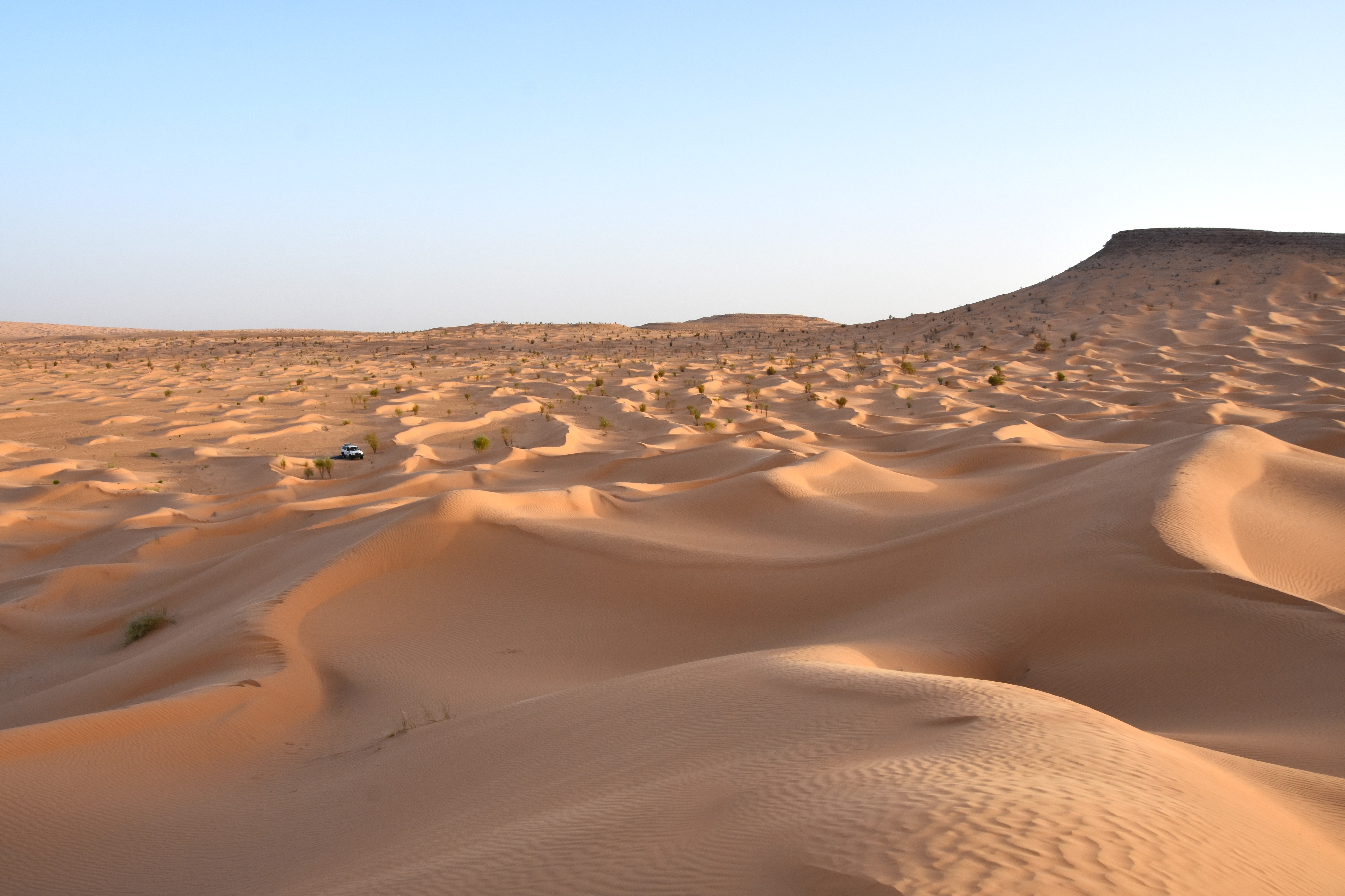Smukt ørkenlandskab i Sahara med gyldne sanddyner. Foto Tom Dalsgaard