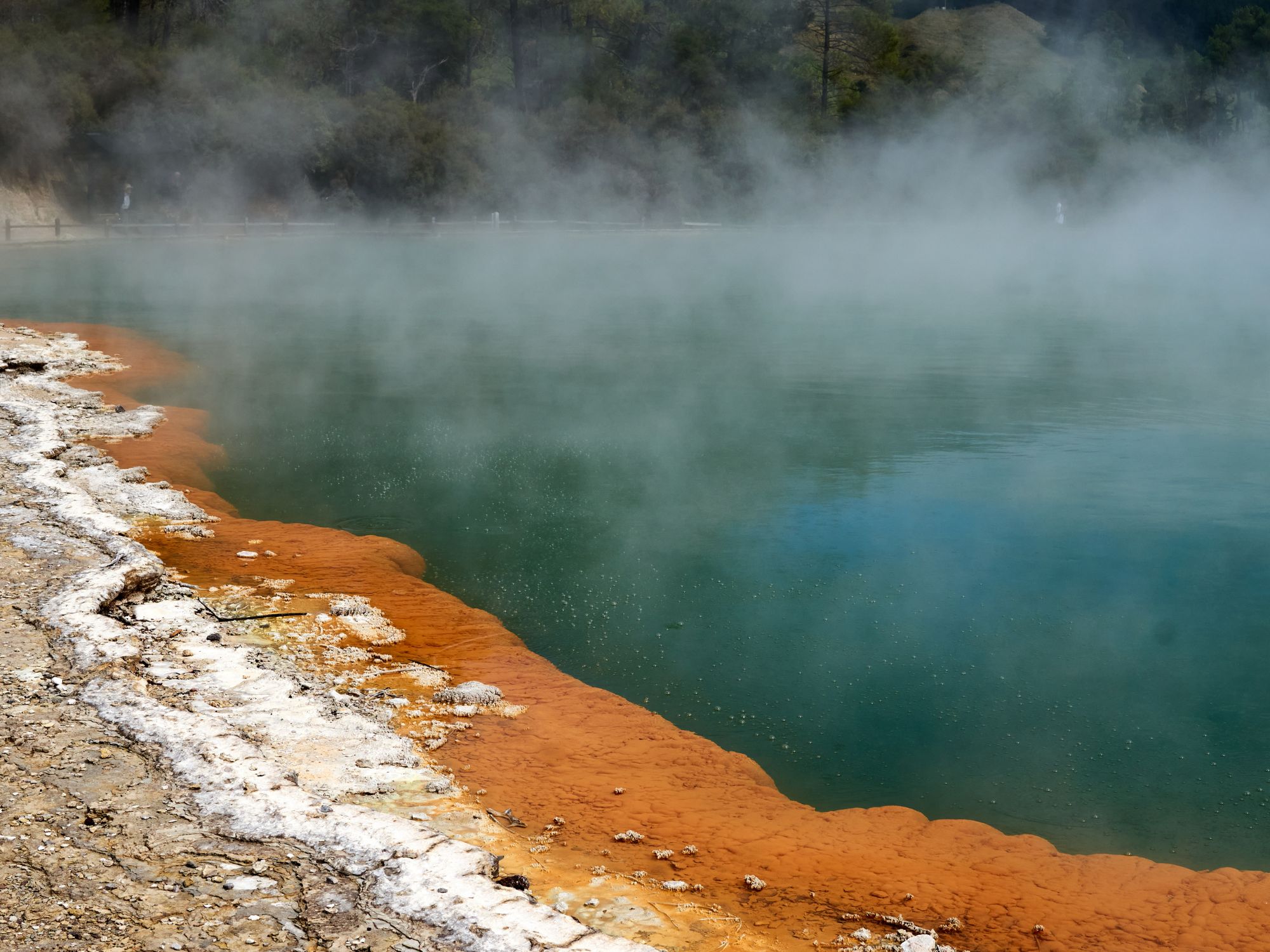 En af Rotoruas mange termiske søer. Foto Viktors Farmor