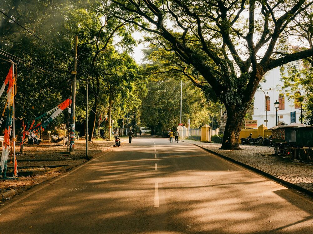 Hyggelige, gamle gader i Fort Kochi er mange steder præget af ligeså gamle træer, der giver skygge i varmen. Foto Viktors Farmor