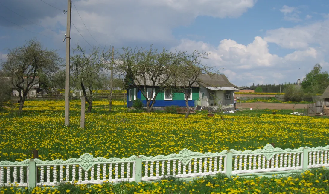 Galleri Europa | Viktors Farmor