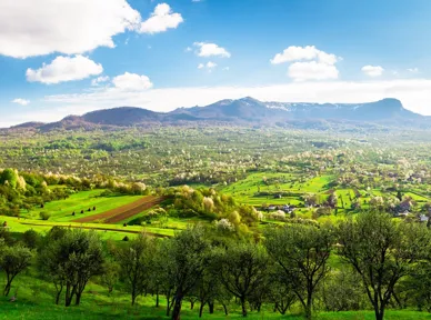 Vi kan se ud over frodige landskaber med Karpaterne i baggrunden. Foto Viktors Farmor