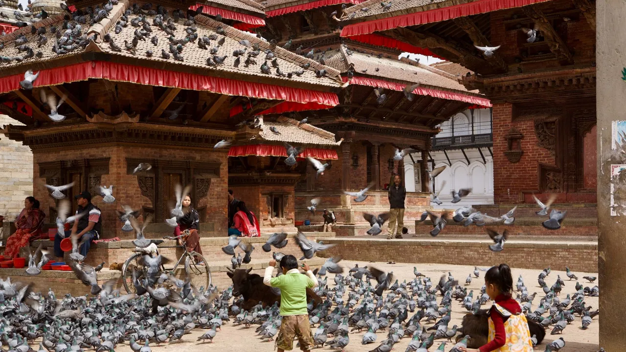 Børn leger med duerne på durbar pladsen i Kathmandu. Foto af Anders Stoustrup