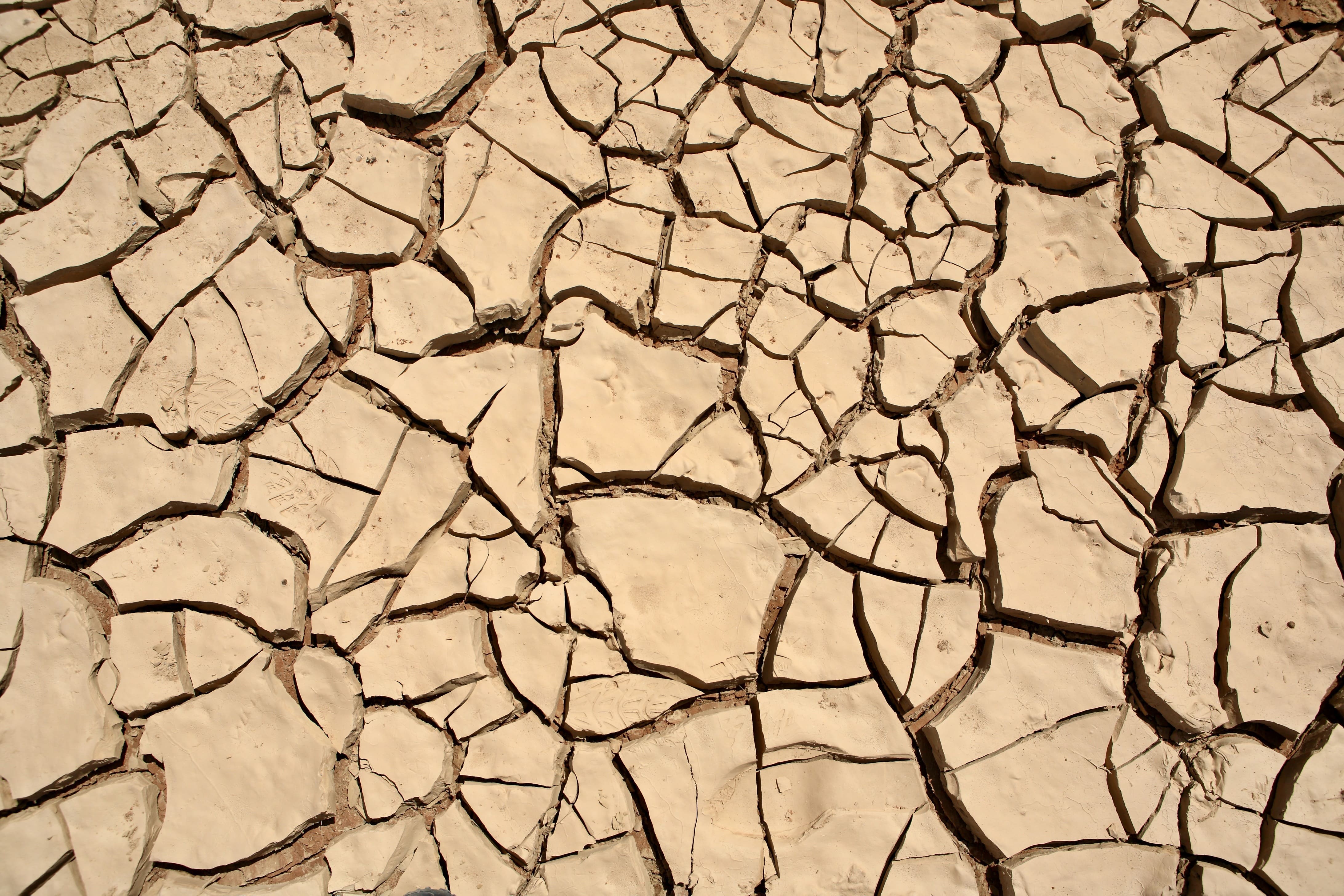 Landskaberne i Namibia er tørre og livet her mange steder hårde betingelser. Foto Anders Stoustrup