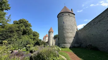 Tallinns bymur blev bygget i det 13. århundrede. Tilbage står der 1,85 km mur, 26 tårne og to byporte. Foto Morten H. Nielsen