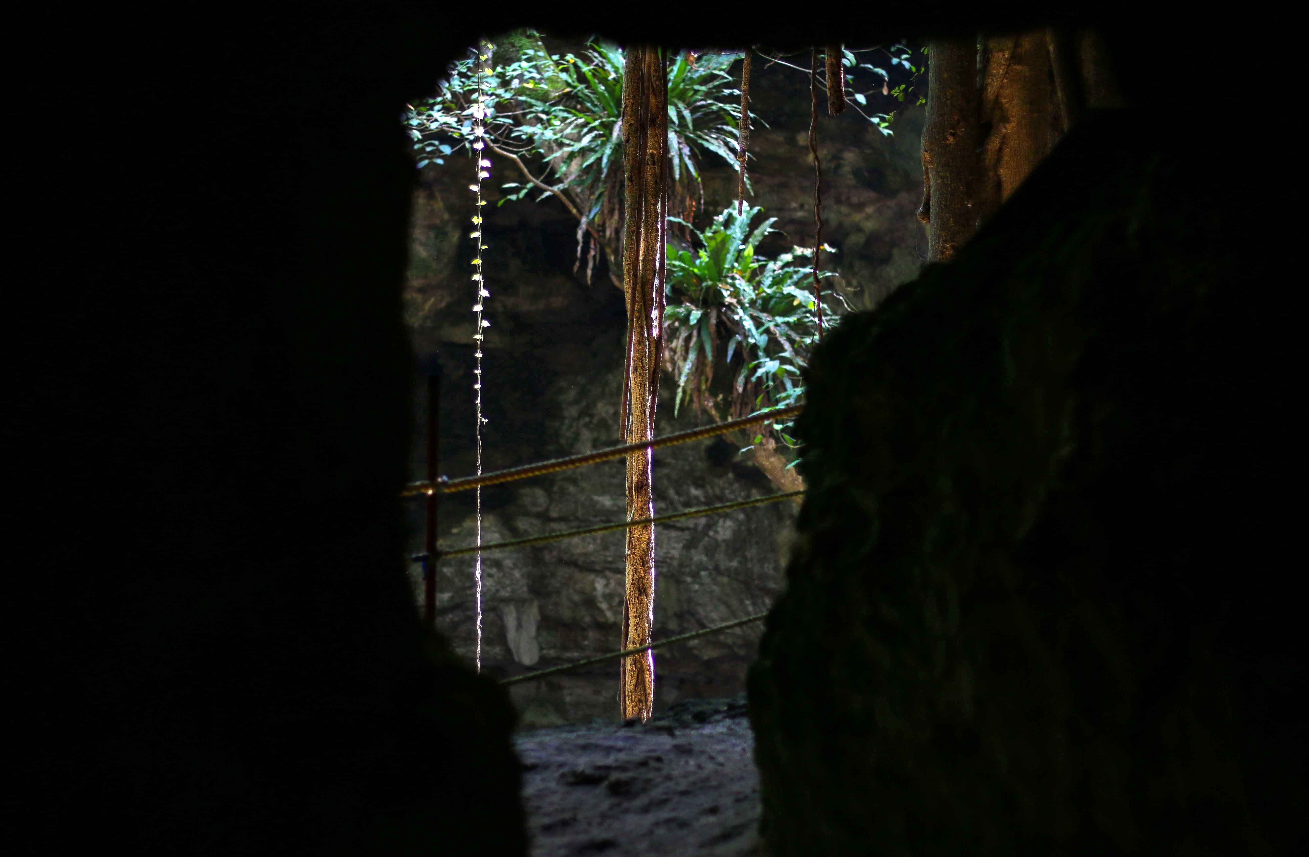 Sollyset finder vej ned mellem klippevæggene i en cenote. Foto Caroline Sølvsten