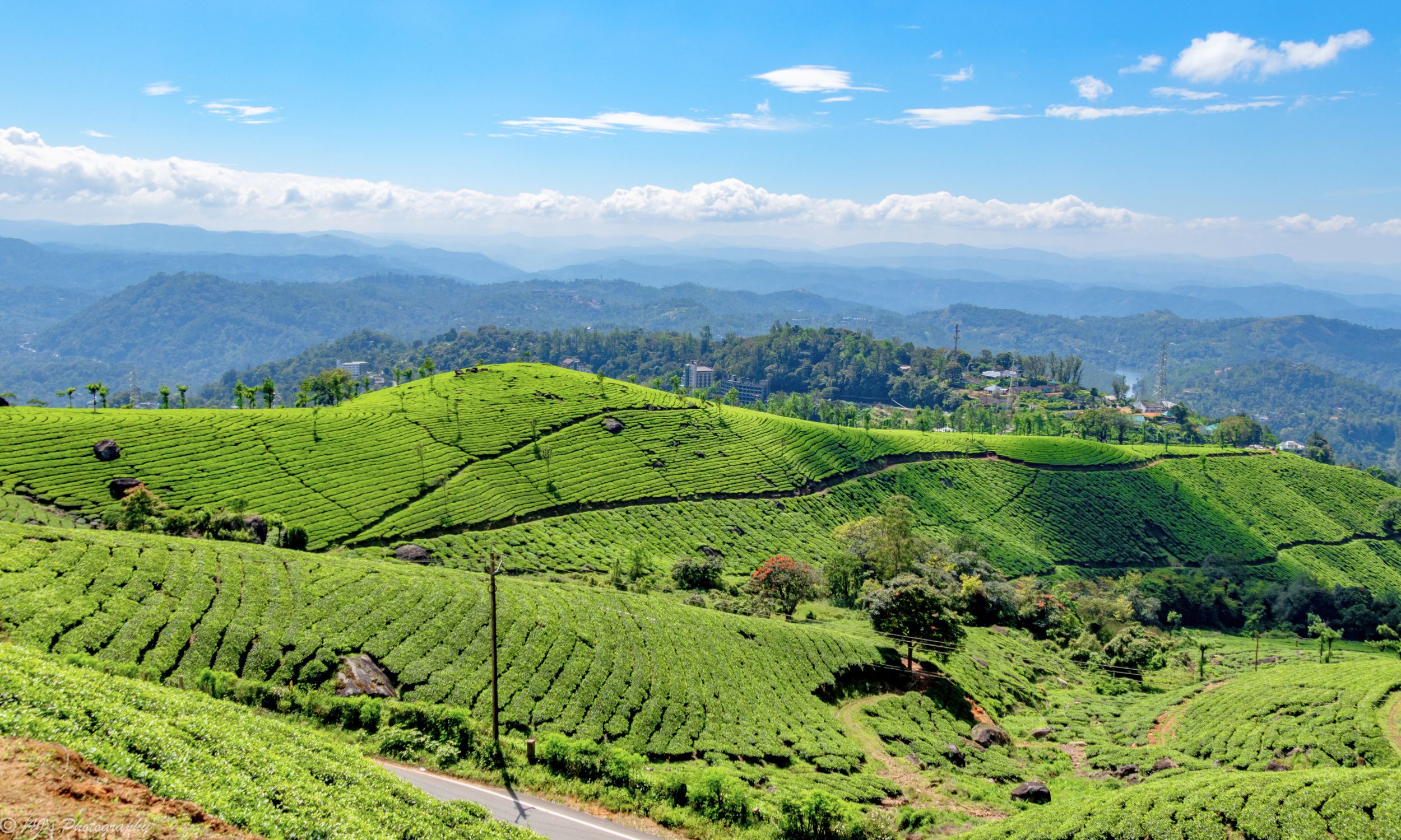 Grønne te-marker præger det bakkede bjerglandskab i Munnar og skaber et roligt mønster i det frodige sydindiske højland. Foto Viktors Farmor