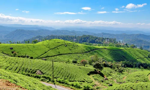 Kerala: Landsbyliv og natur i Sydindien