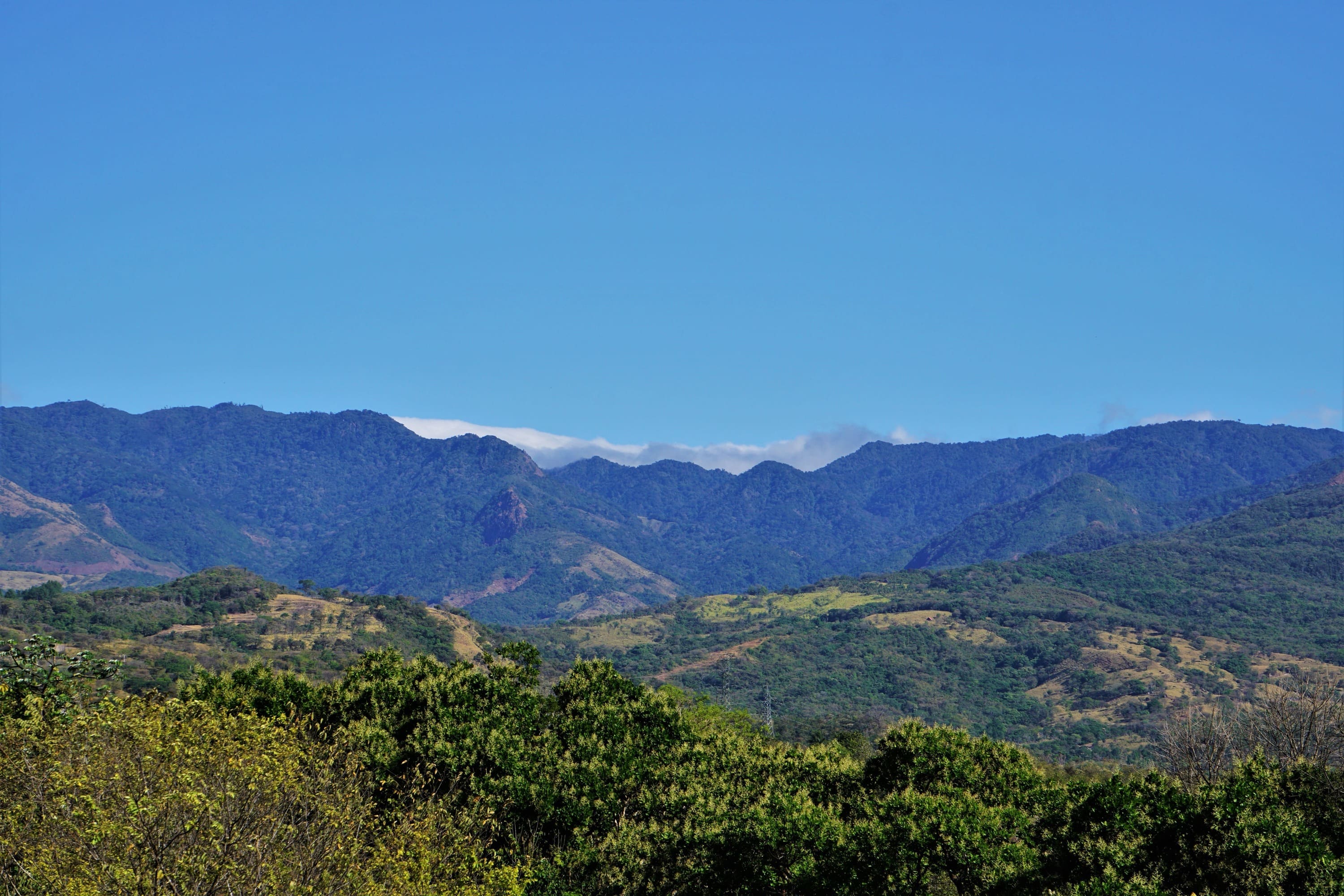 Den grønne dal ved den kontientale kløft på vej til Boquete. Foto. Kathrine Svejstrup