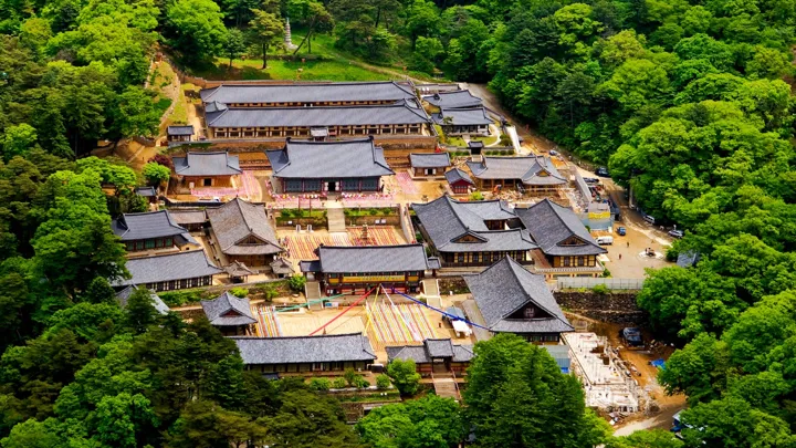 Hainsa templet i Sydkorea ligger smukt omgivet af skov. Foto Viktors Farmor
