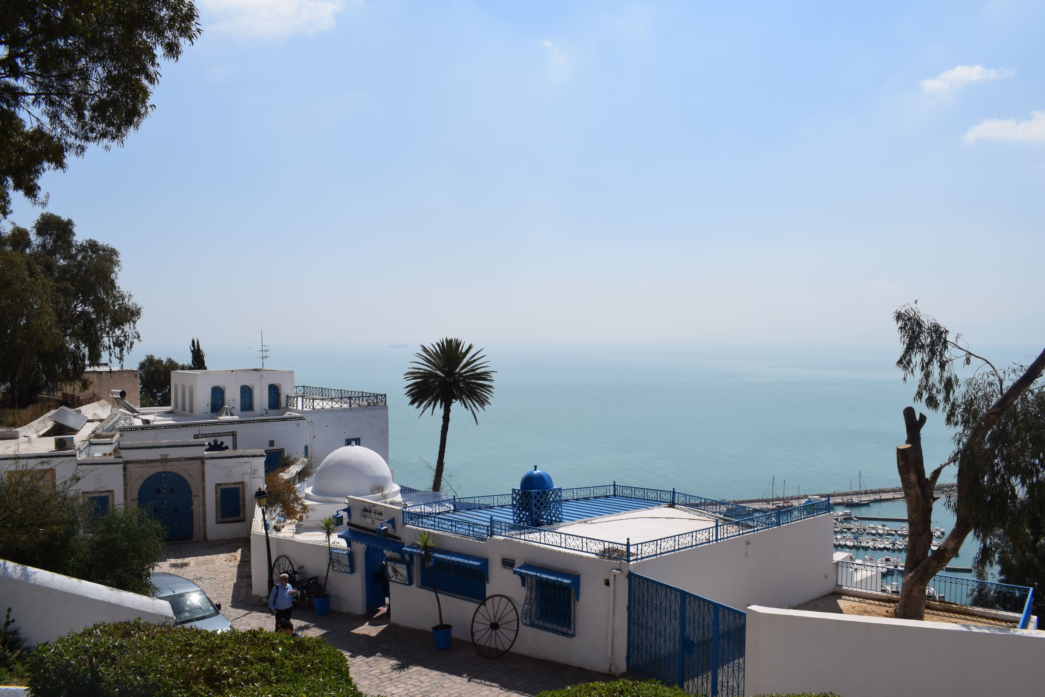 Sidi Bou Said - Da der blev skrevet en sang om cafeen på billedet, Cafe des Delices, blev prisen på en kop te mangedoblet. Foto Viktors Farmor