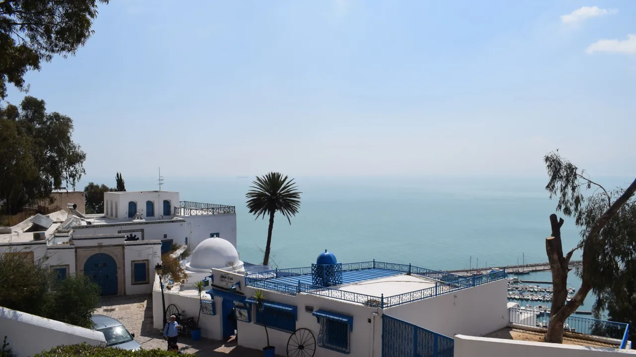 Sidi Bou Said - Da der blev skrevet en sang om cafeen på billedet, Cafe des Delices, blev prisen på en kop te mangedoblet. Foto Viktors Farmor