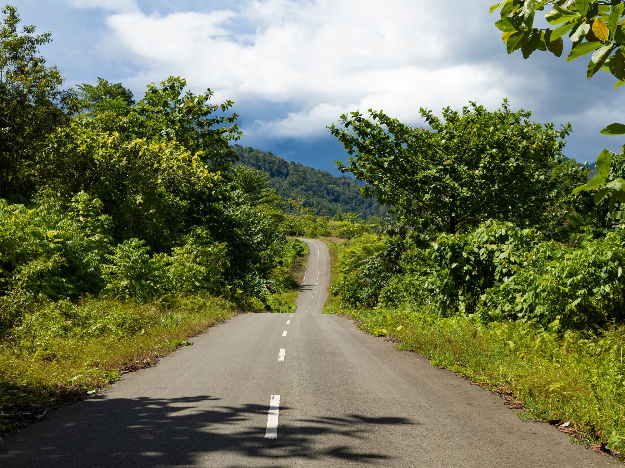 West Papuas frodige landskab. Foto Viktors Farmor