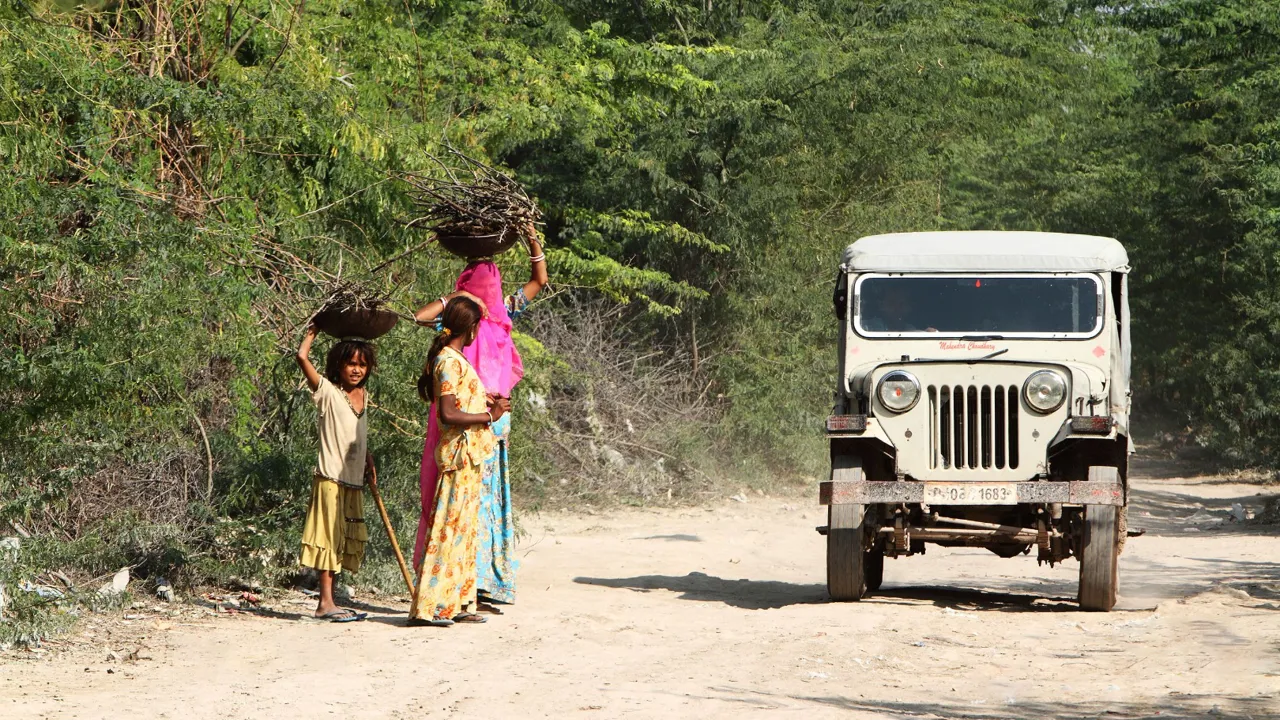 Vi oplever livet på landet i Indien. Foto af Anders Stoustrup