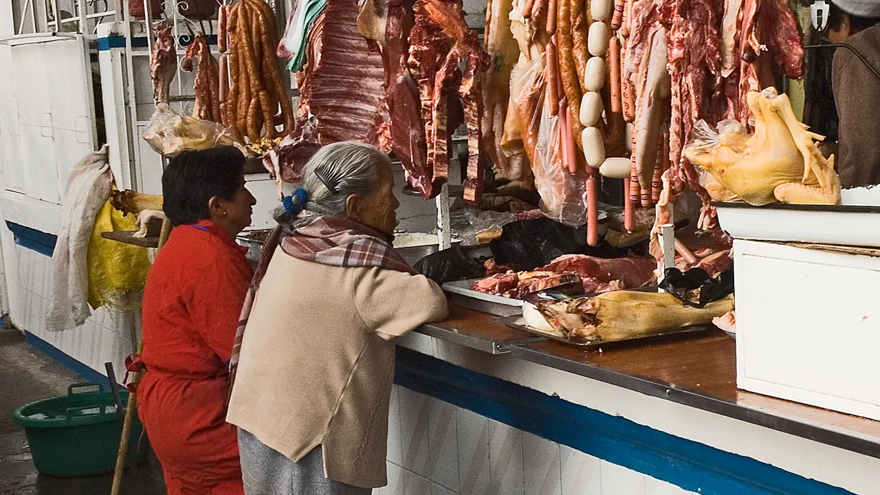Kød i alle afskygninger til salg i denne slagterbutik. Foto Søren Bonde