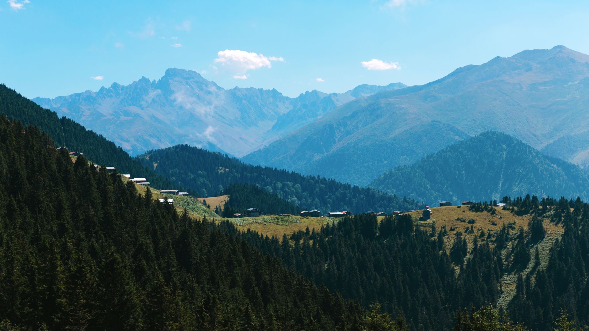 Vi har en overnatning i Ayder Yaylasi omgivet af grøn natur. Foto Viktors Farmor