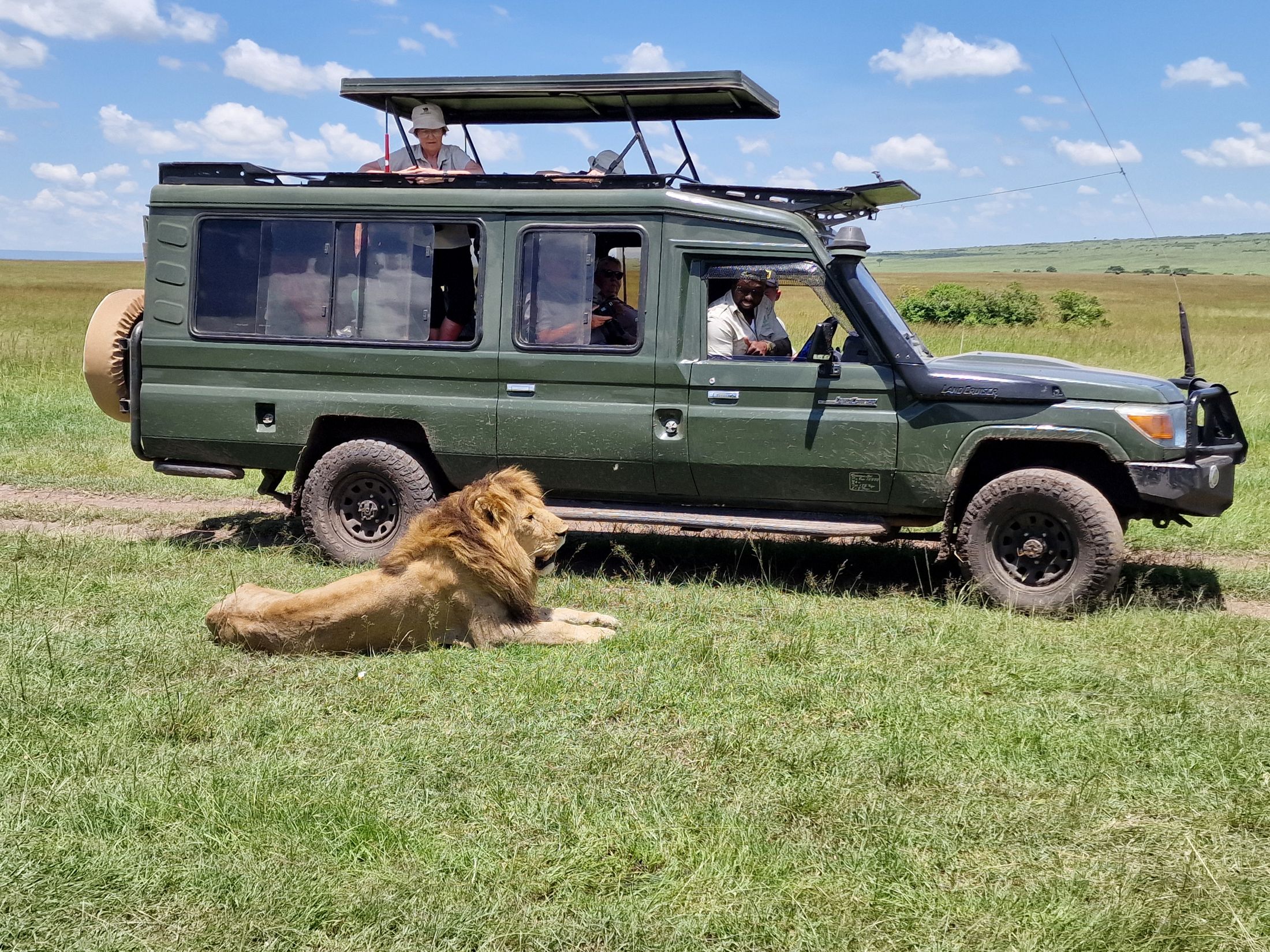 Hvis vi er heldige, kan vi komme meget tæt på dyrene. Fotos Carsten Willersted
