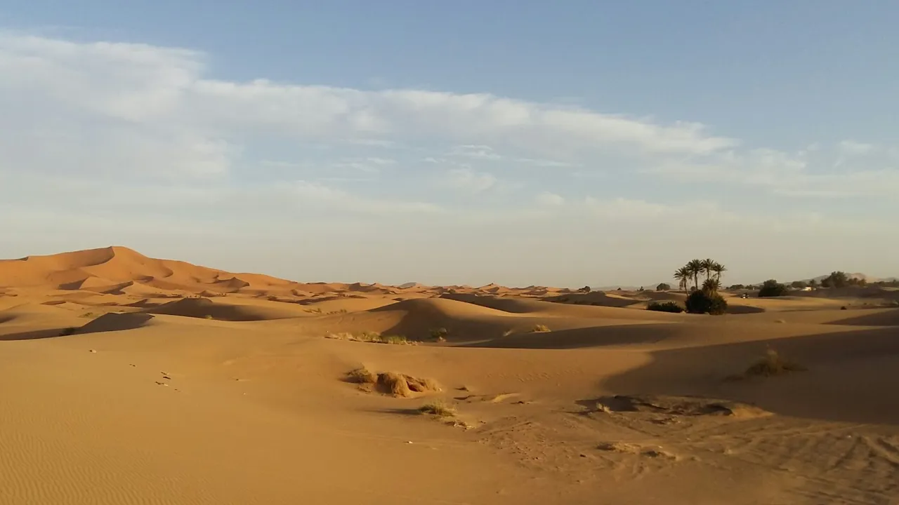 Sahara er en fantastisk kontrast til det hektiske byliv i. Foto Christina Ilsøe Astrup