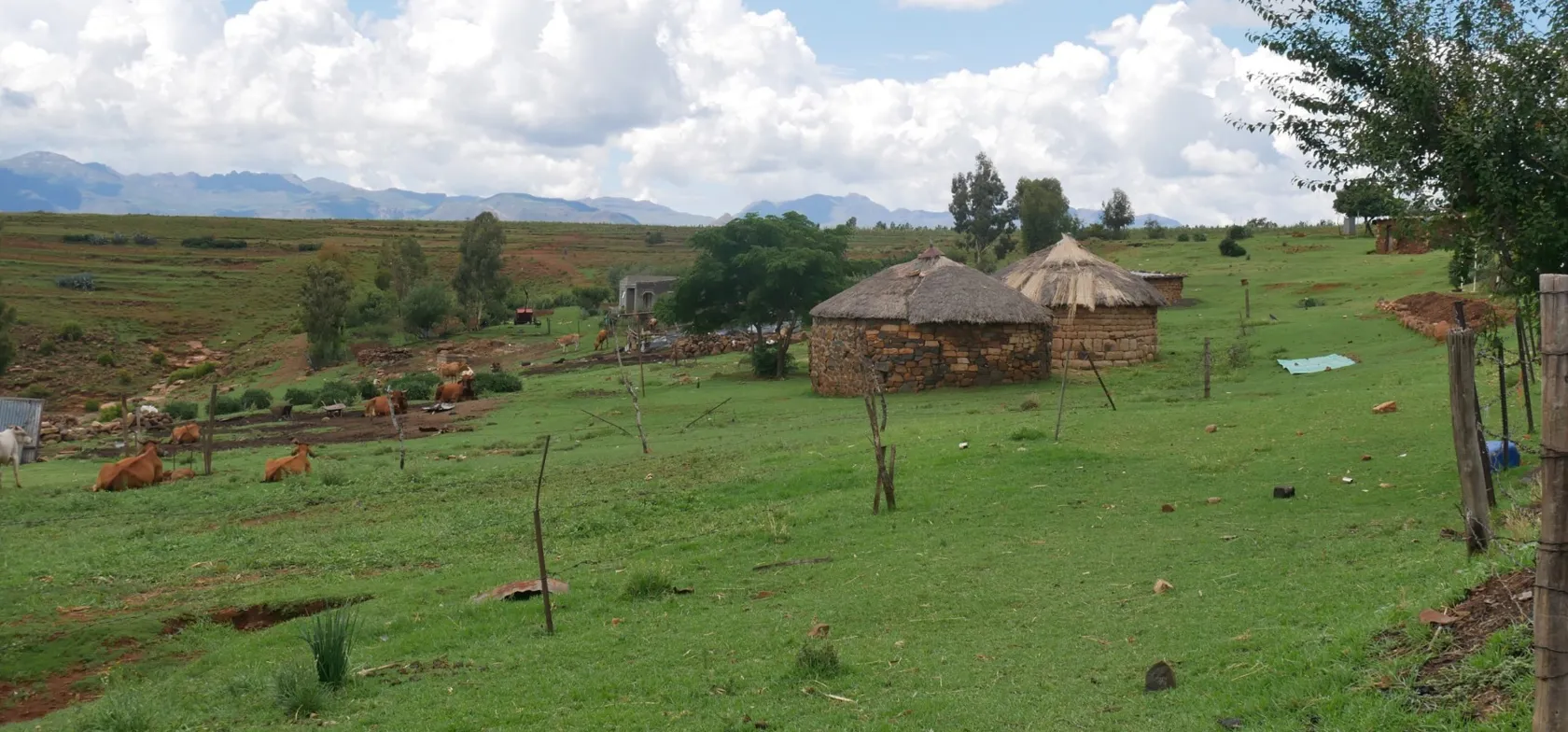 Landsbyhytter med kvæg og eroderede marker i Lesotho. Foto Steen Ramsgaard