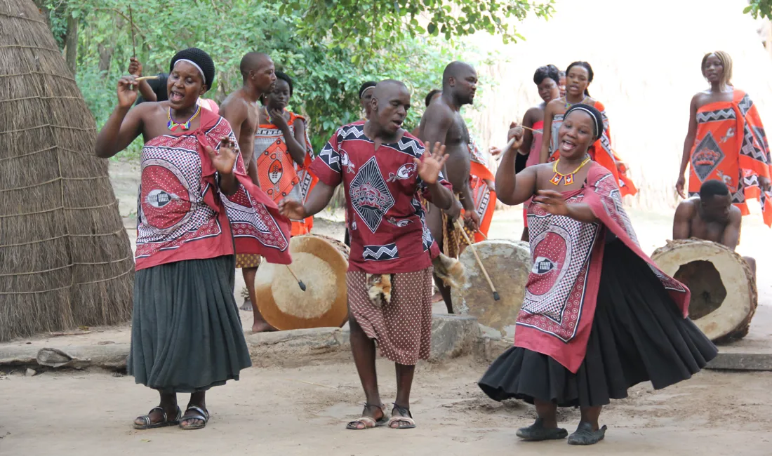 Vi oplever traditionel sang og dans i Swazi Cultural Village. Foto Anna-Karin Johannsen