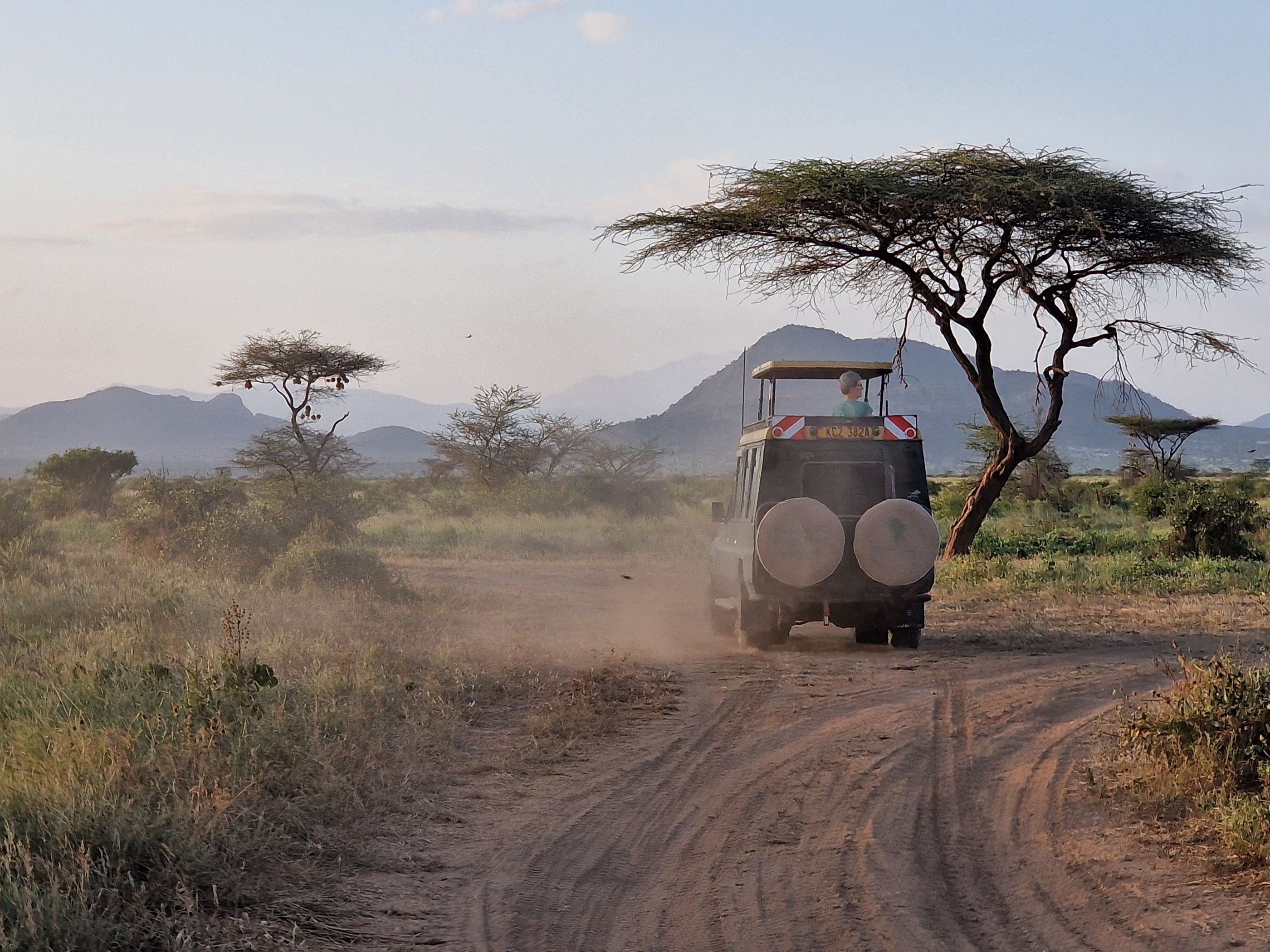 Vi kører i jeeps, hvor taget kan skubbes op for at sikre det bedste udsyn. Fotos Carsten Willersted