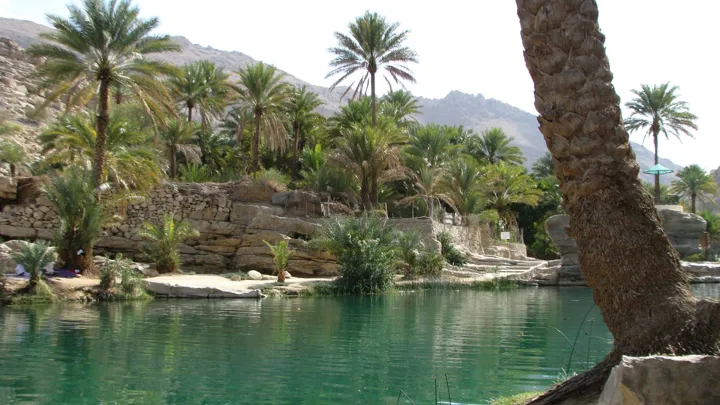 Wadi i Oman med frodigt landskab og klart vand. Foto Esben Gynther
