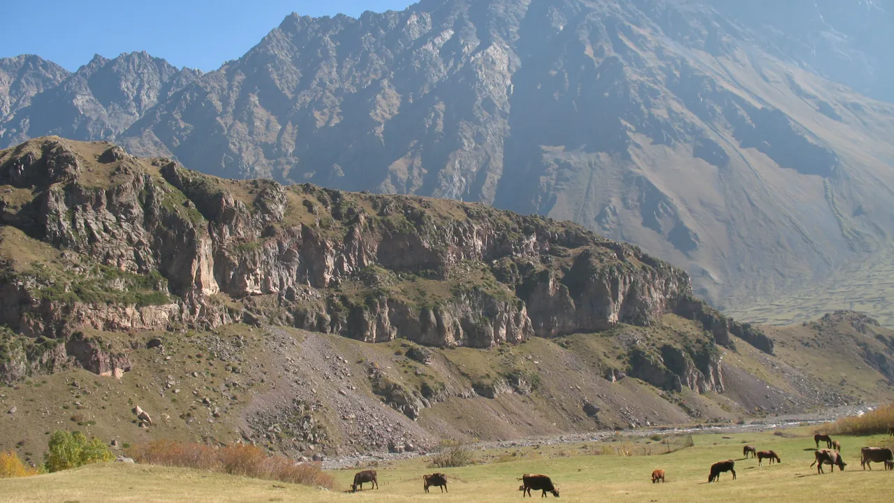 Landskabet omkring Kazbegi er fyldt med bjerge og har et rigt dyreliv. Foto Kirsten Gynther Holm