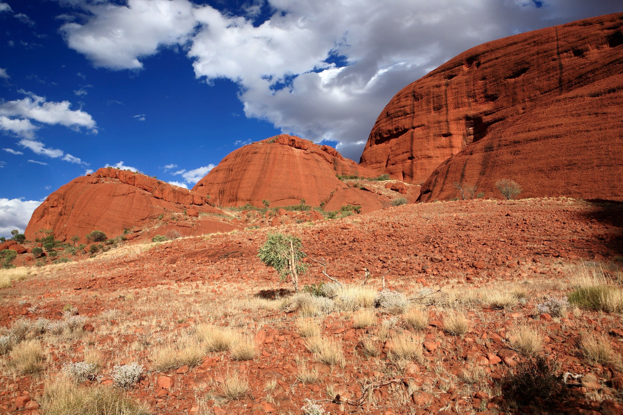 Kata Tjuta består af 36 store sten, der hæver sig over den røde ørken. Foto af Anders Stoustrup