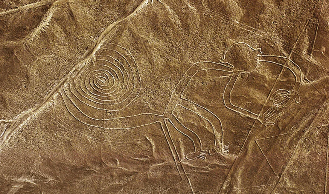 Det er stadig en gåde, hvilken betydning Nazcalinjerns dyre- og menneskefigurer havde. Foto Viktors Farmor