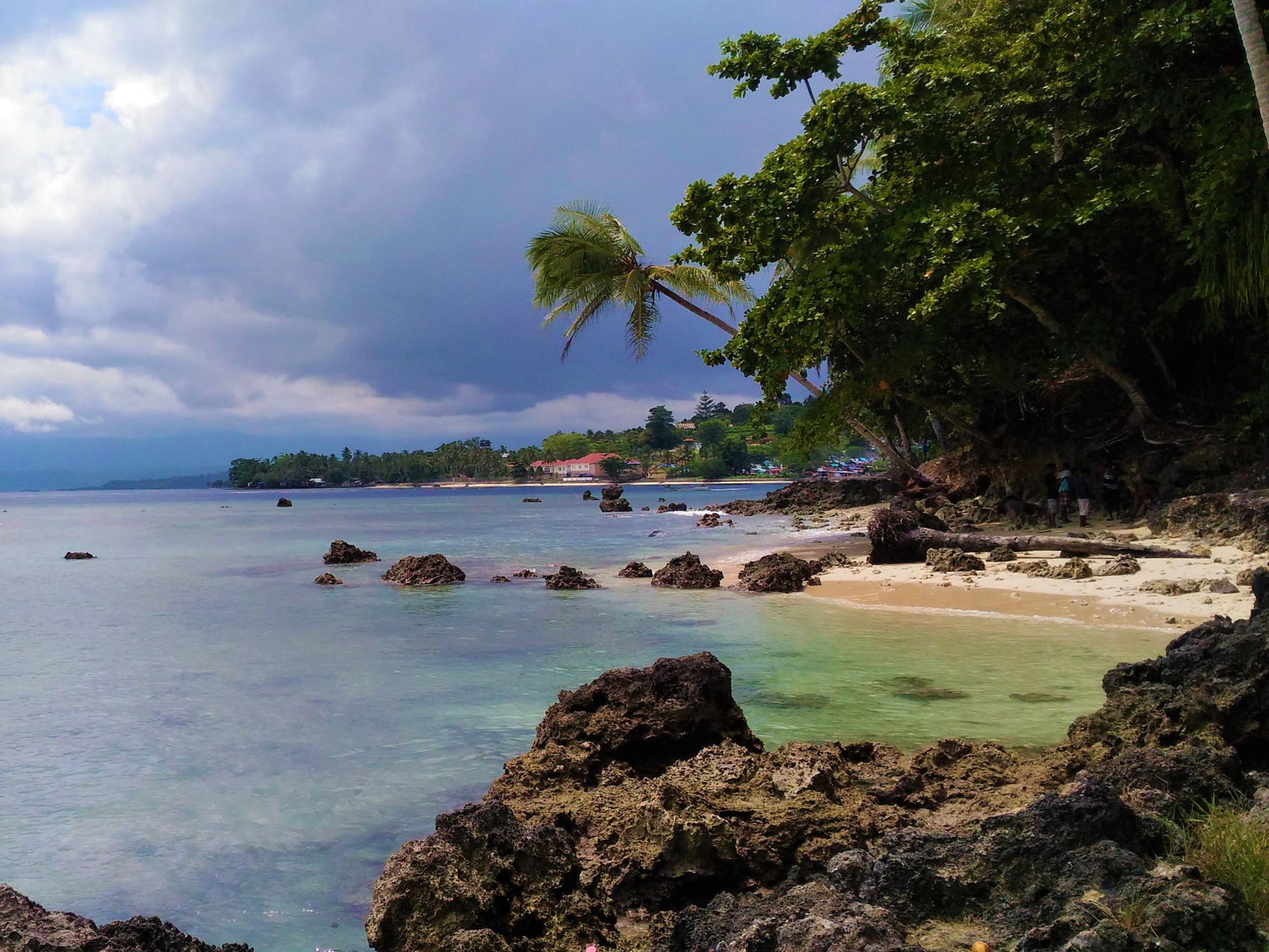 Manokwari ligger ved foden af Arfak-bjergene. Foto Viktors Farmor
