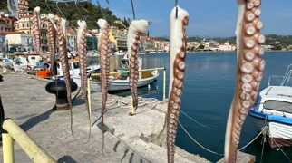 Middagen er sikret! Foto Vagn Olsen