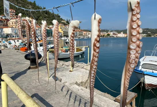 Middagen er sikret! Foto Vagn Olsen