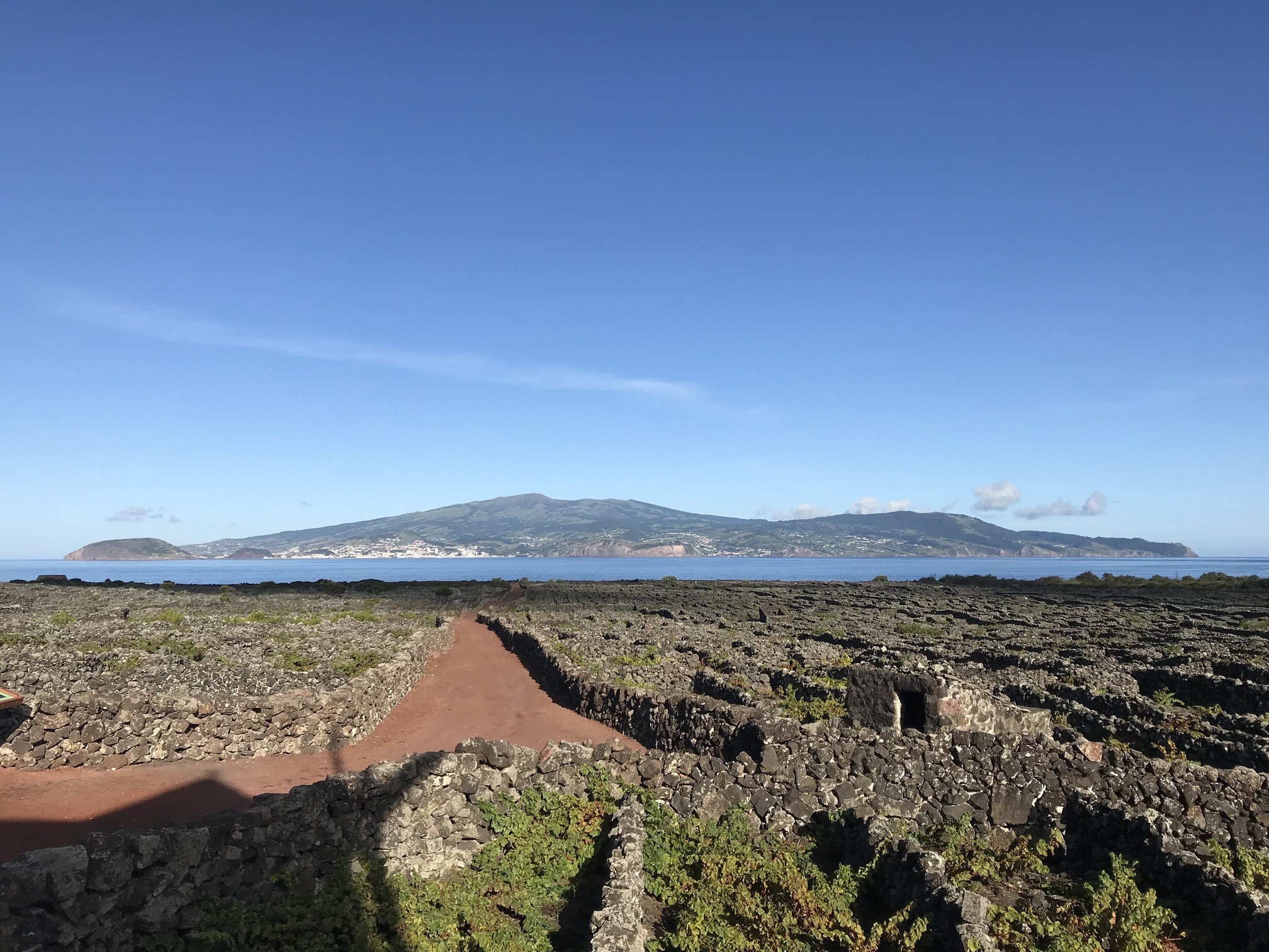 De sorte vinmarker på Pico, med udsigt til naboøen Faial. Foto Henriette Jensen