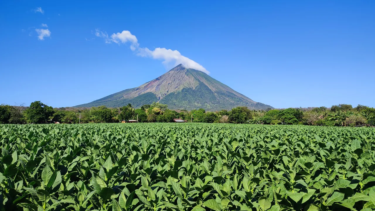Concepción vulkanen på Ometepe øen i det sydvestlige Nicaragua. Foto Christian Frimodt-Møller