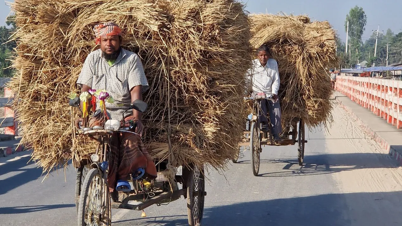 Rickshaws bruges til at transportere meget mere end mennesker i Bangladesh. Foto af Helle Lefevre