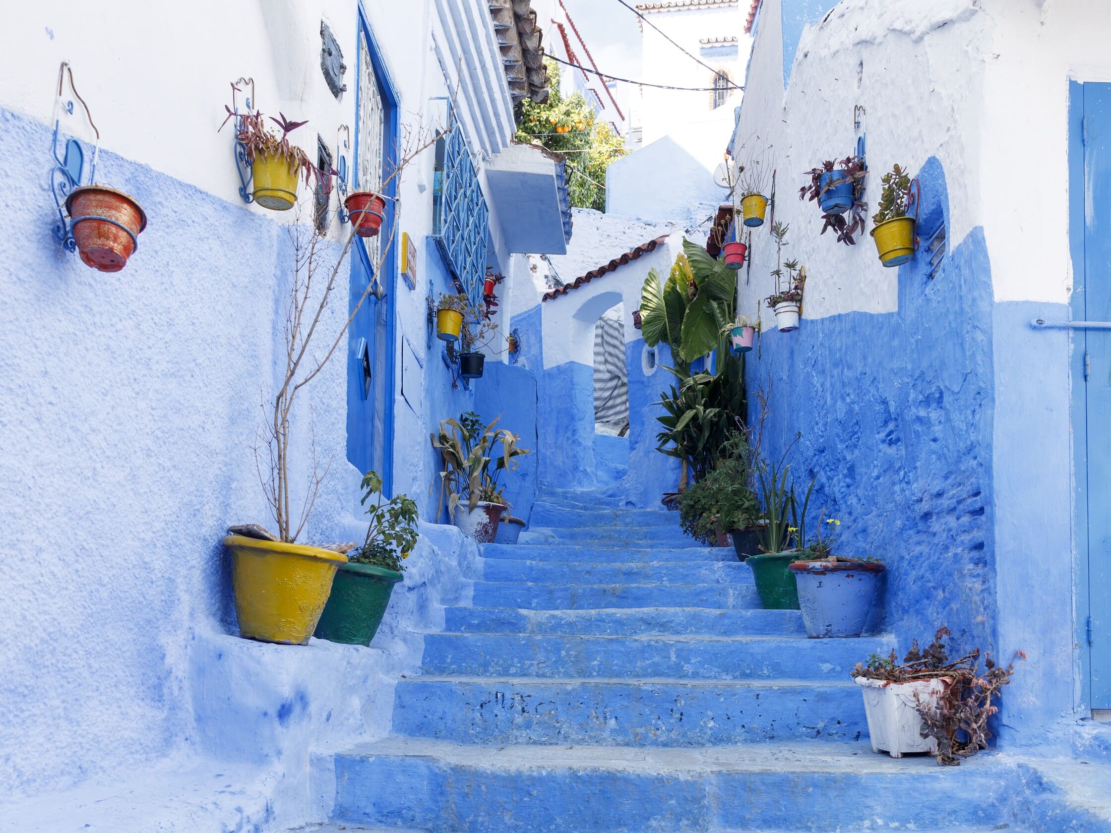 Blåmalede trapper og blomsterkrukker i Chefchaouen. Foto Inge Lynggaard