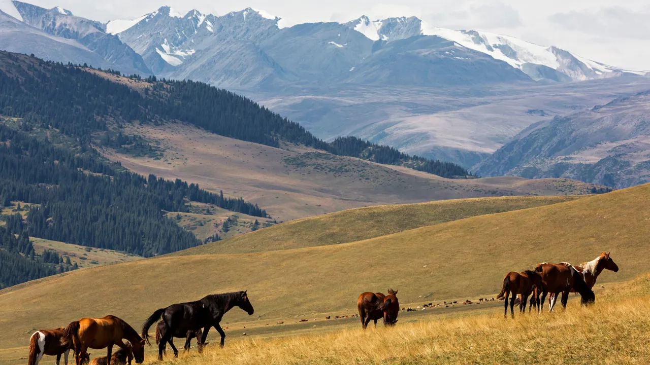 Græssende heste er ikke et særsyn i de kazakhstanske bakker. Foto Viktors Farmor