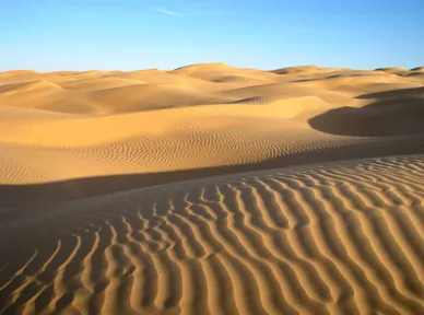 De flotte gyldne sanddyner i Sahara. Foto Jytte Krogsbøl