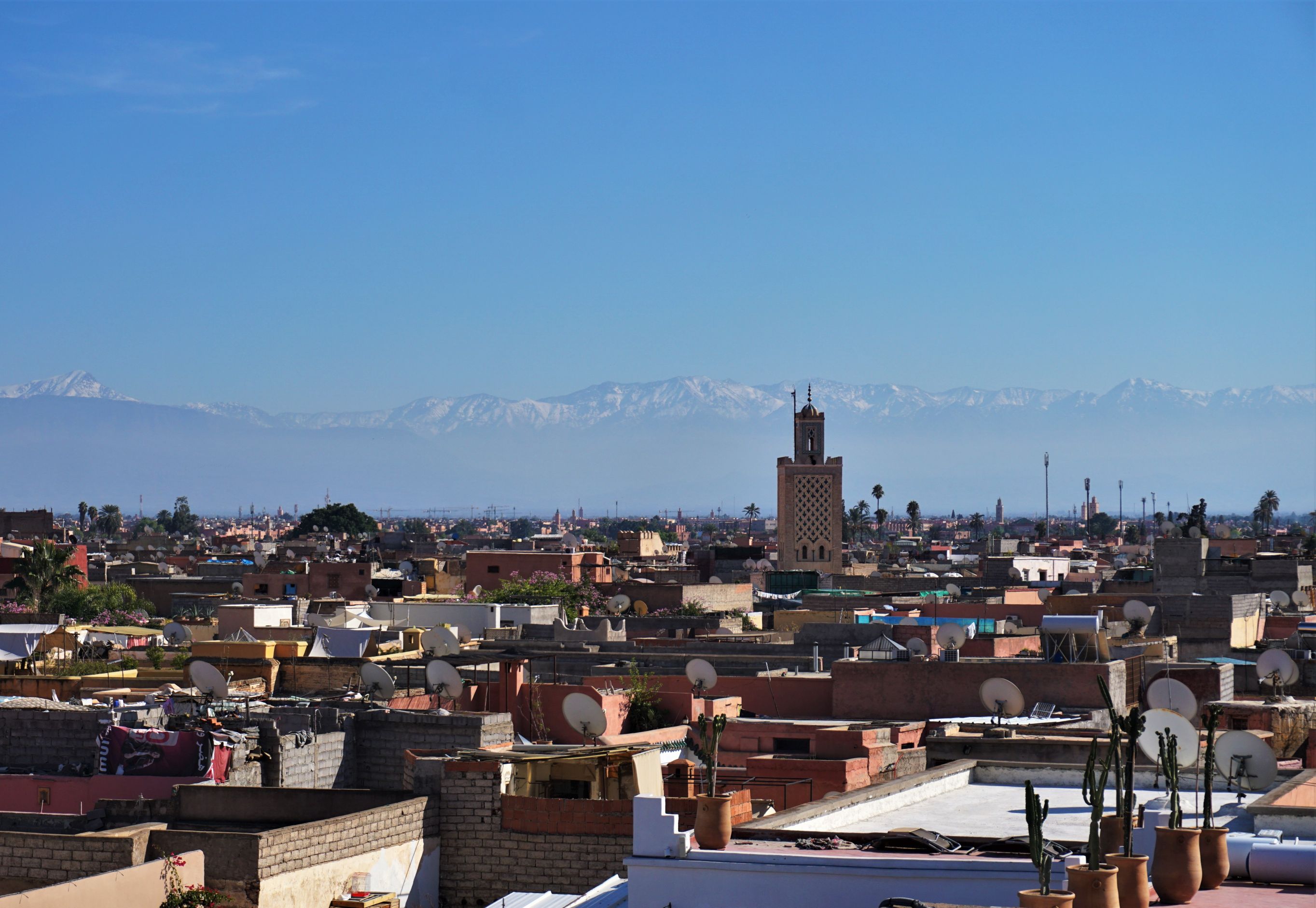 Marrakesh med Atlasbjergenes sneklædte tinder i baggrunden. Foto Kathrine Svejstrup