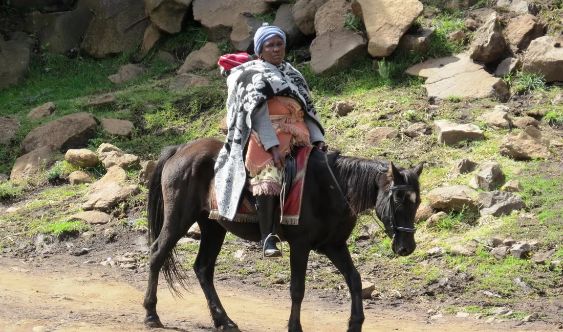 I Lesotho foregår transport nogle gange stadig på hesteryg.