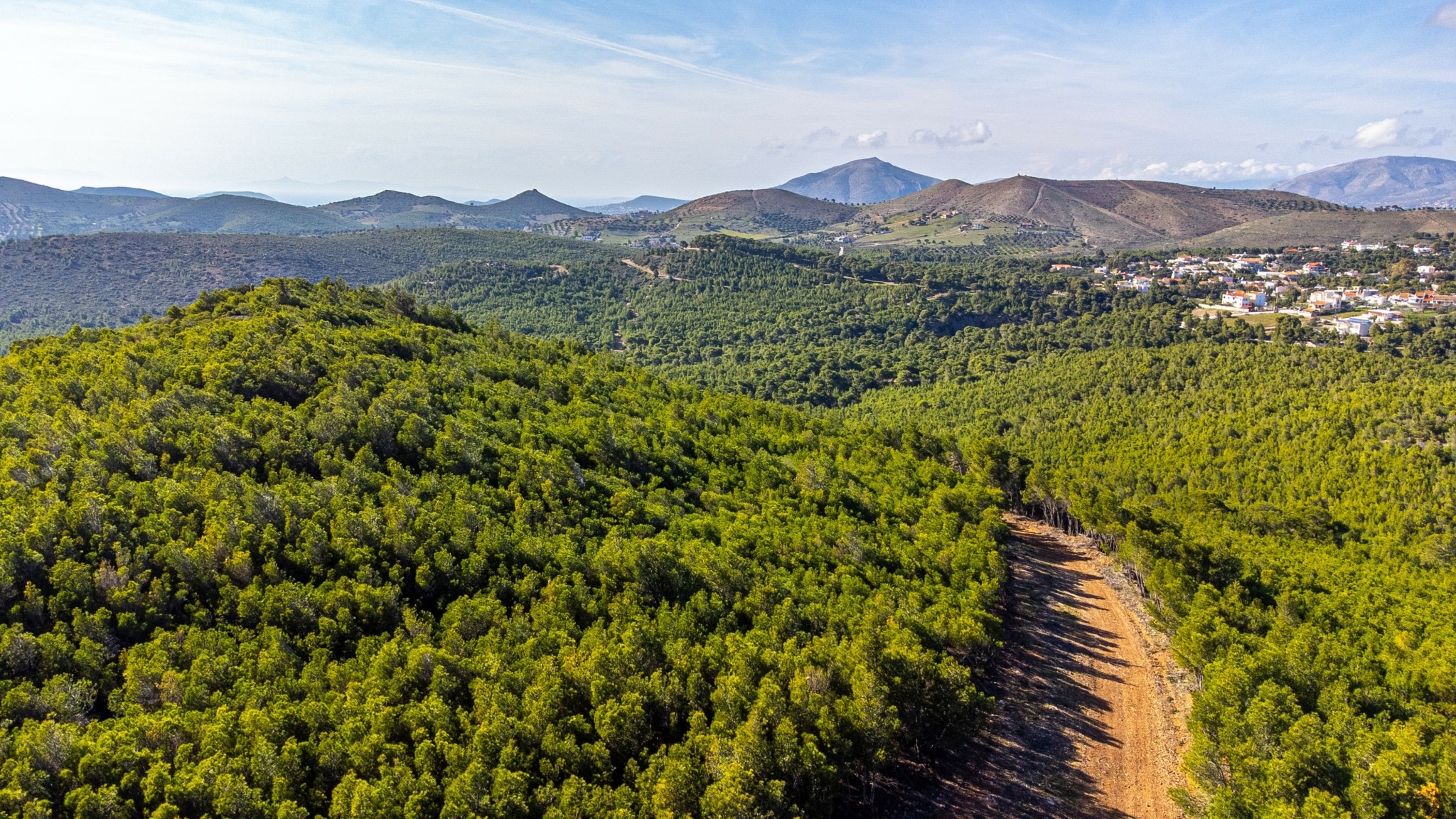 Landskaberne omkring Athen byder på grønne skove. Foto Chris Panagiotopoulos