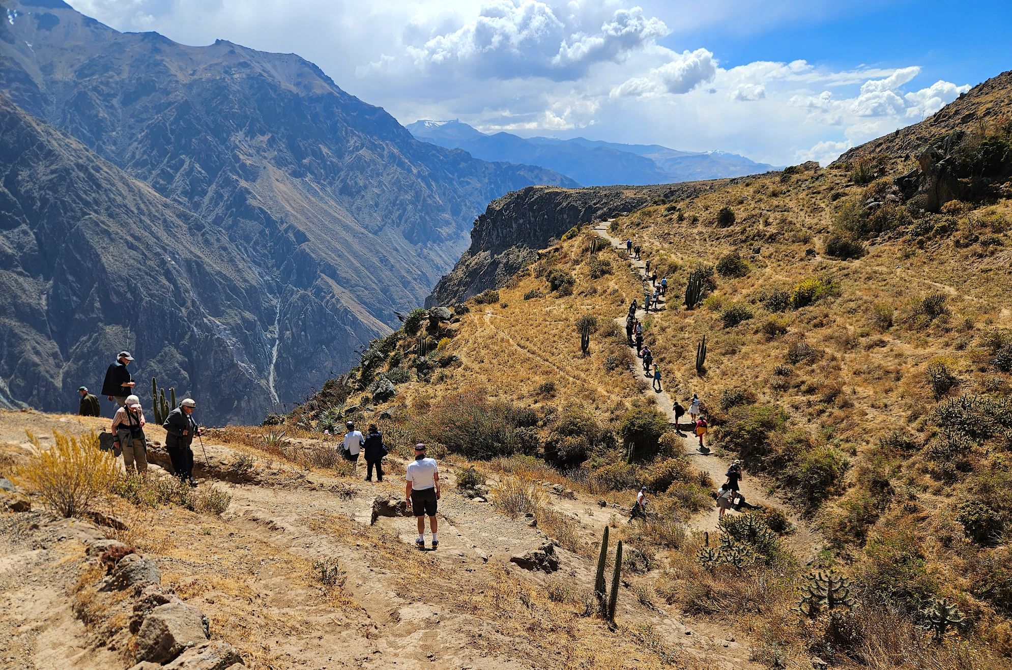 Vi vandrer ved Colca kløften og nyder den fantastiske udsigt. Foto Hanne Christensen